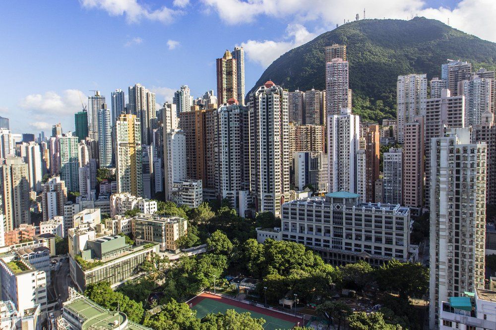 Бетонные джунгли