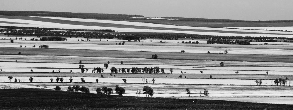 Как по нотам