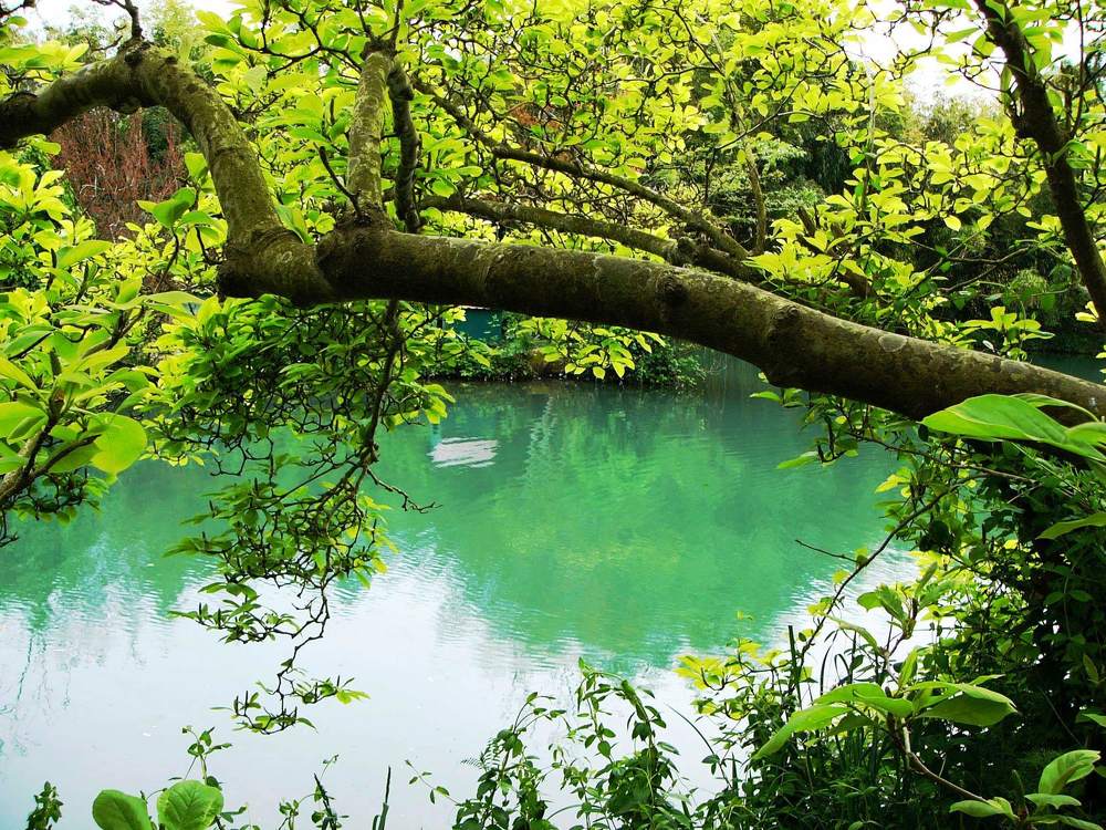 Парк Южных Культур