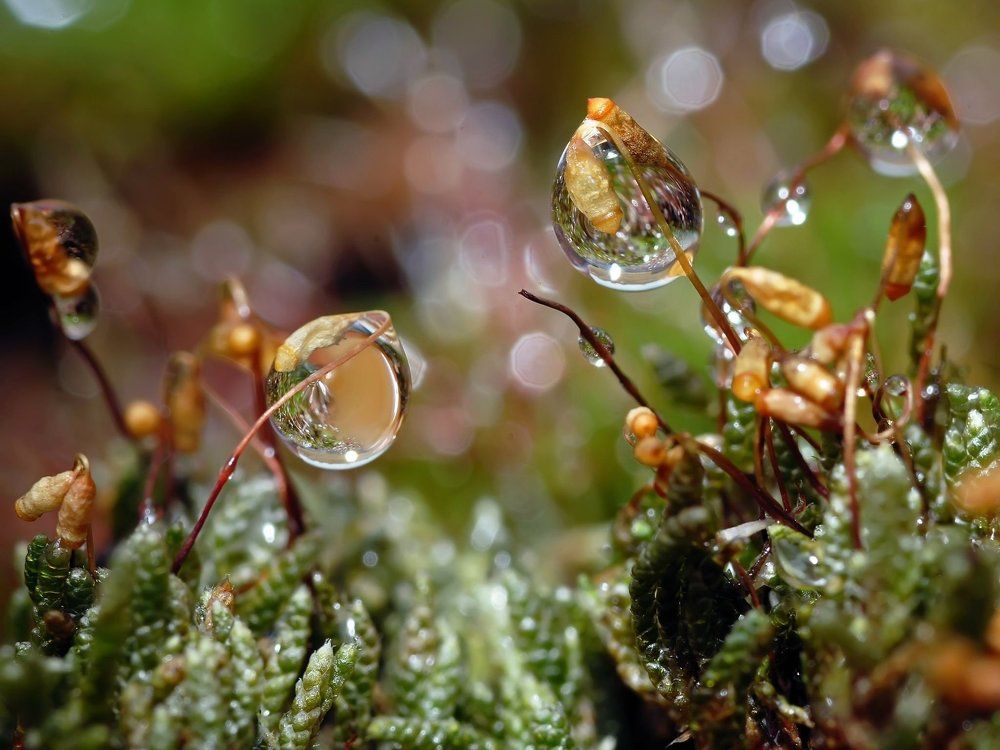 Photograph by Вафффля