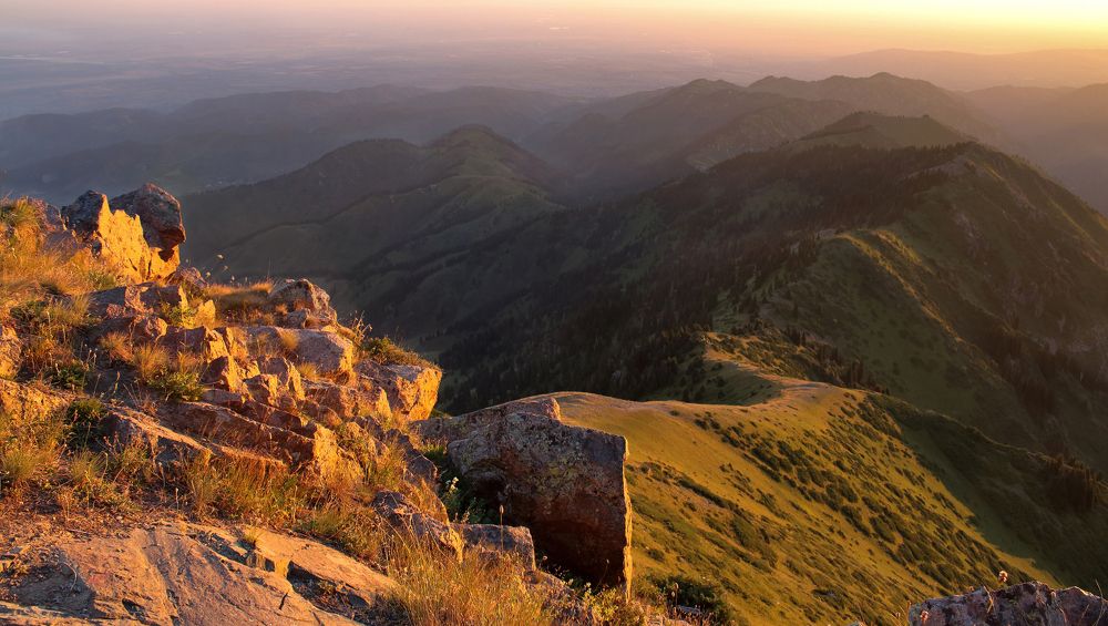 Залитый солнцем