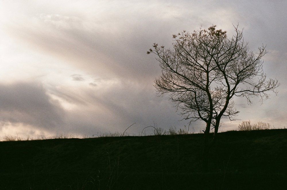 Photograph by Алексей