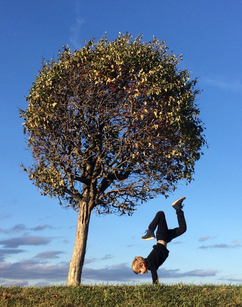 ВверхТормашки