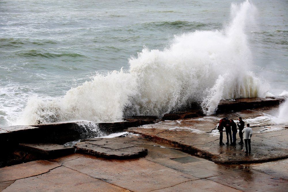 Диалог человека и природы
