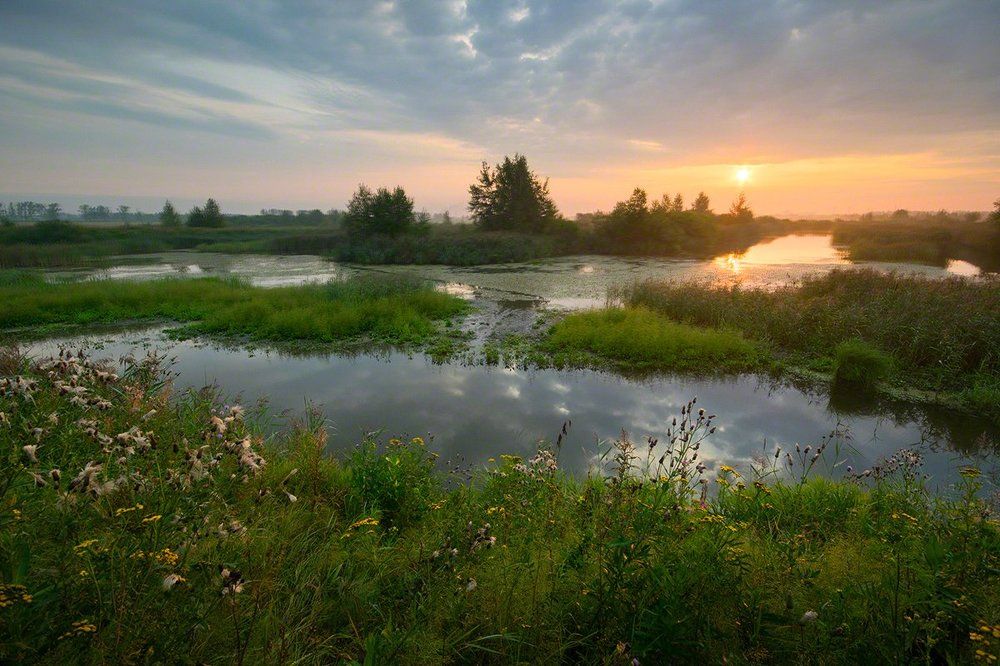 утренний этюд