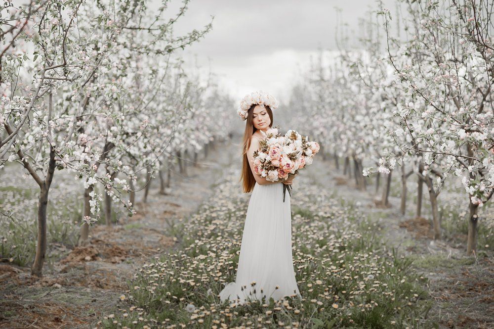 Яблоневый сад