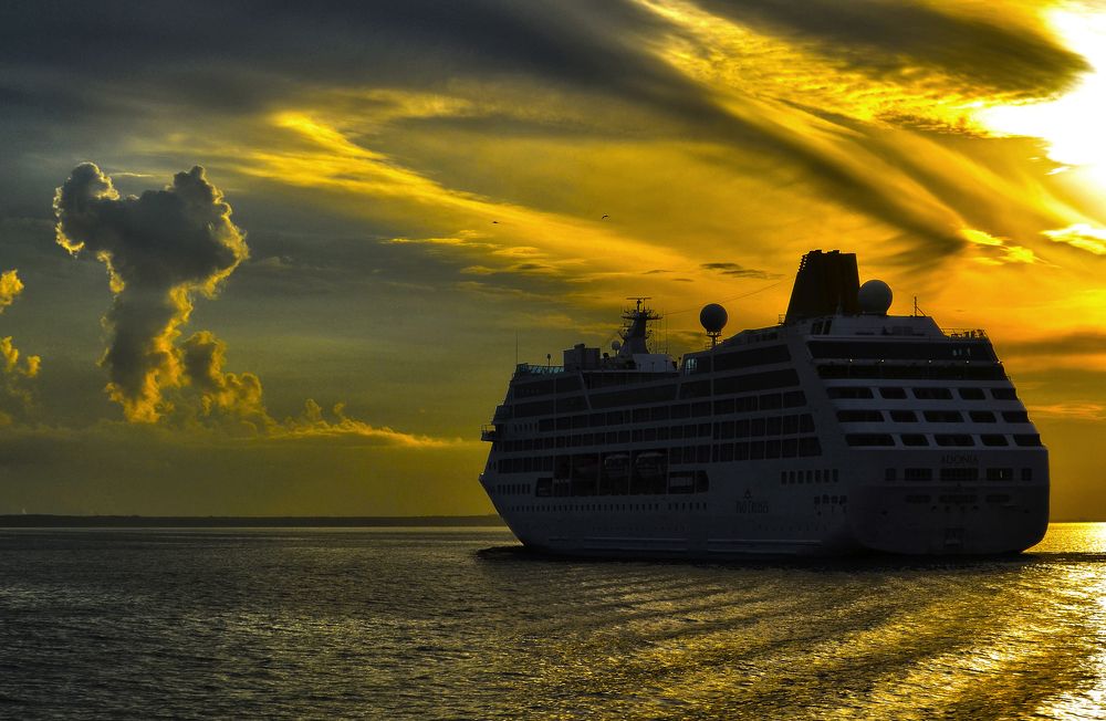 Современный ковчег