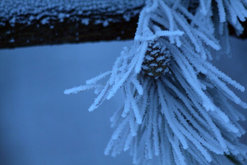 Photograph by Ольга