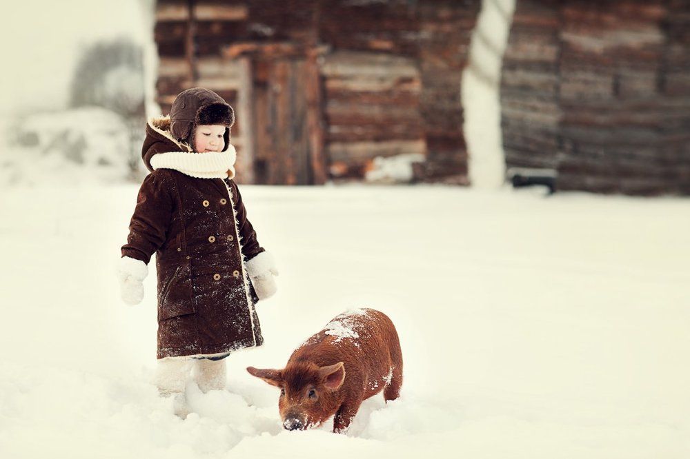 Фотография автора Мария