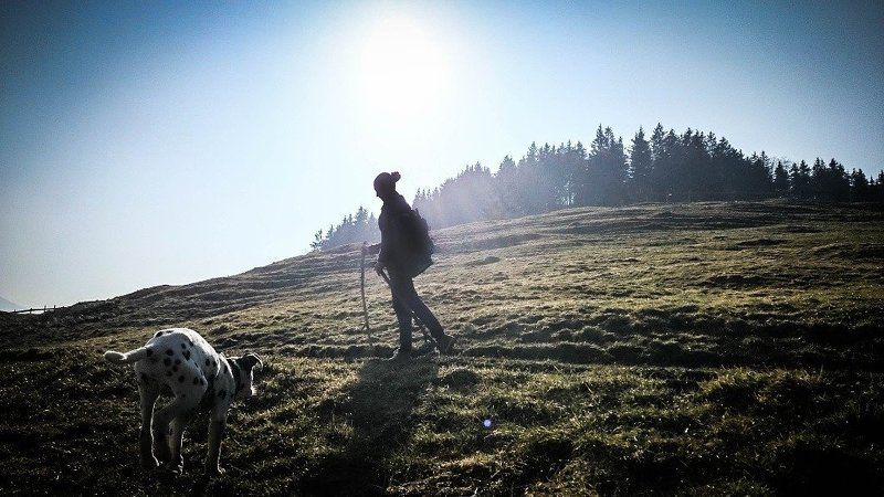 Eugen Testov, Germany