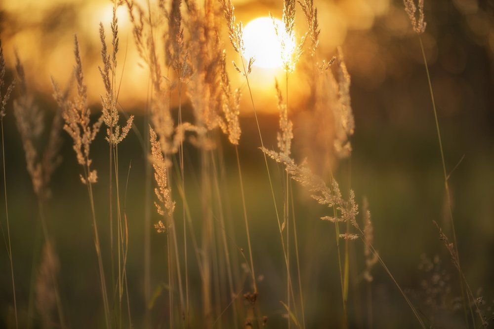 "Дыша природой"