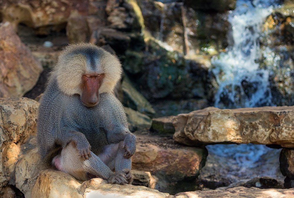 Photograph by Макс