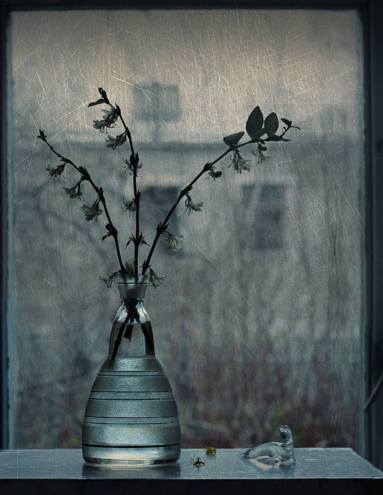 Предчувствие весны