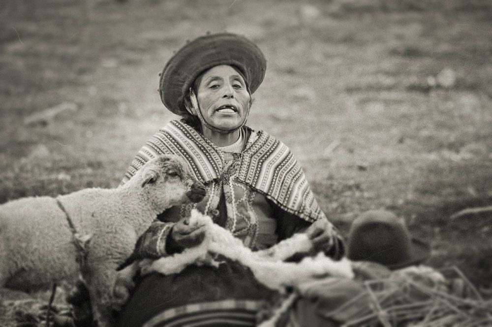 Фотография автора Test user