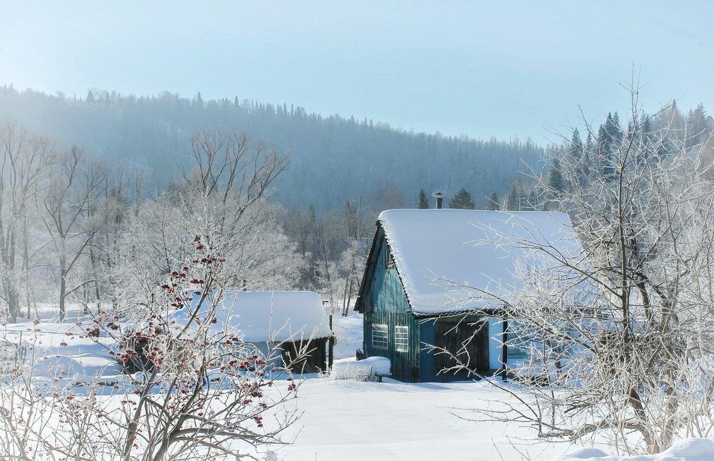 Photograph by Regina