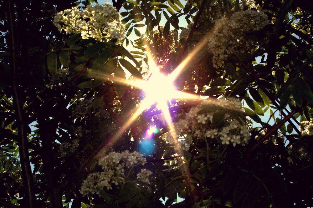 Солнце в "пряталки" играет