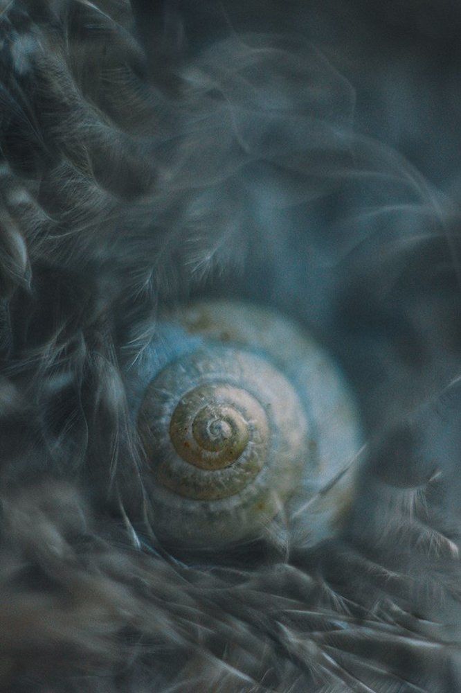 Photograph by Фролова Евгения