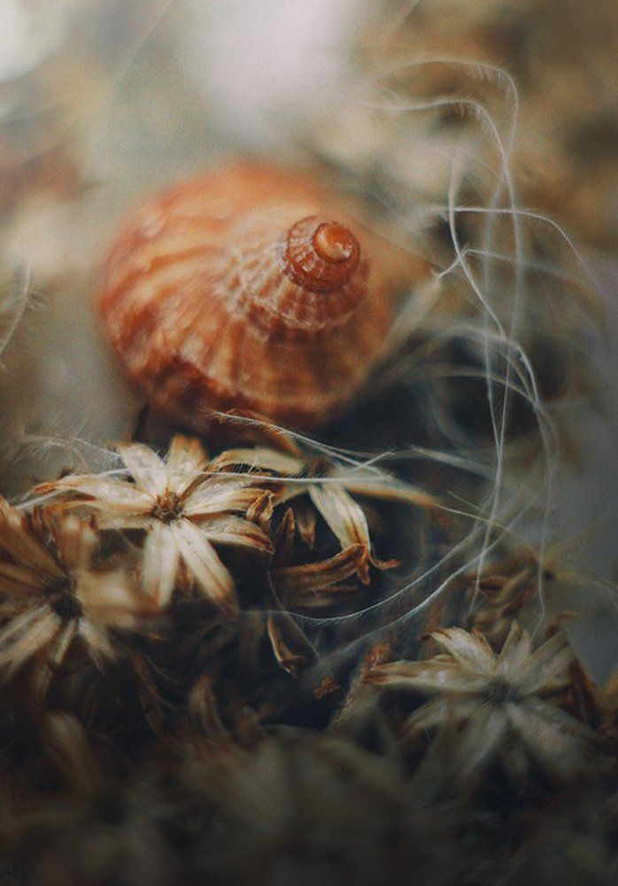 Photograph by Фролова Евгения