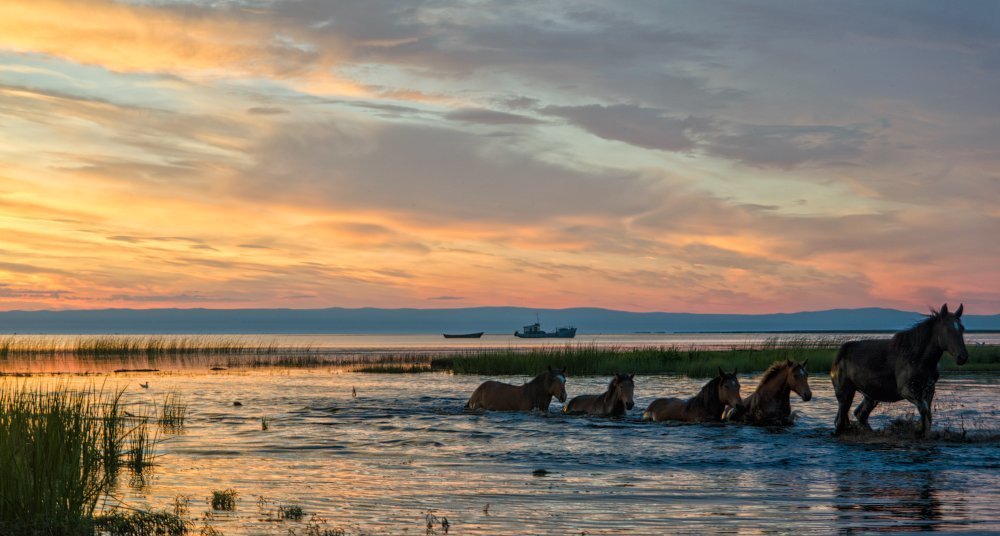 Вечернее купание