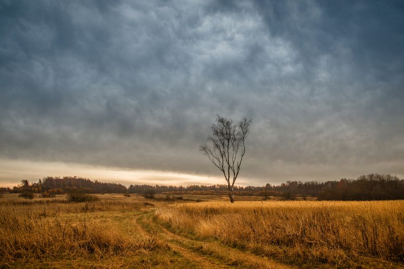 Nikolay Smolyankin, Russia