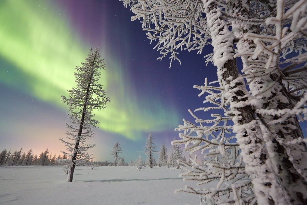 Морозный вечер.