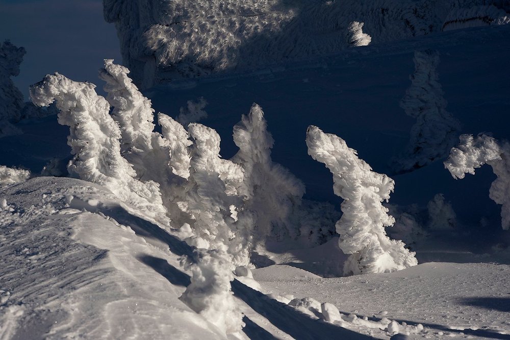 В царстве Снежной королевы