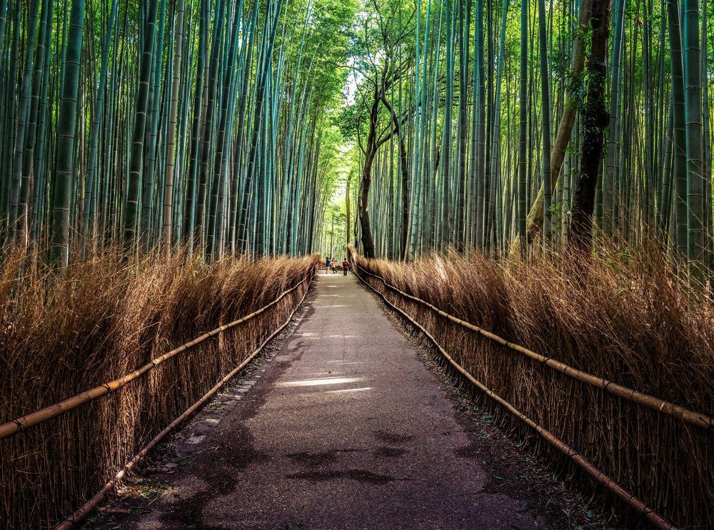 Arashiyama