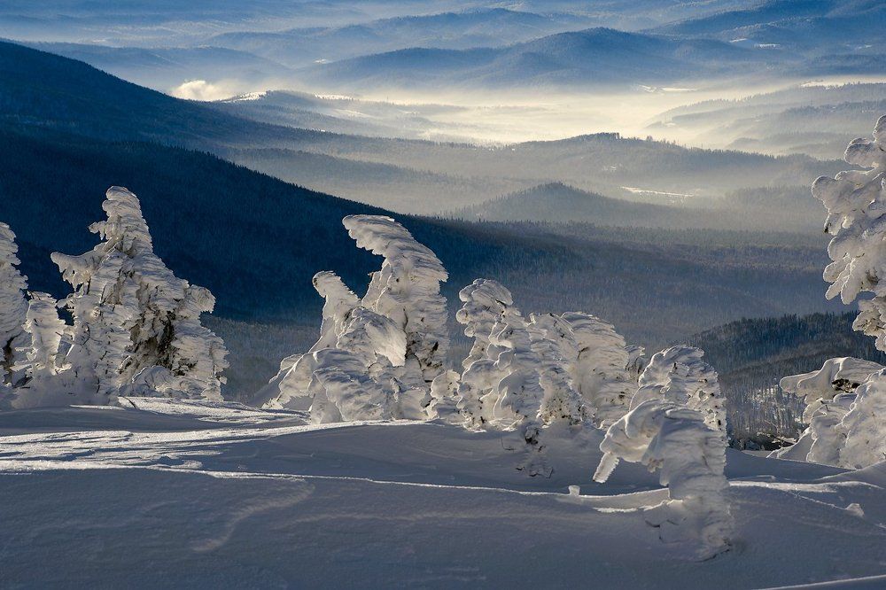 Pro волшебный Шерегешский лес