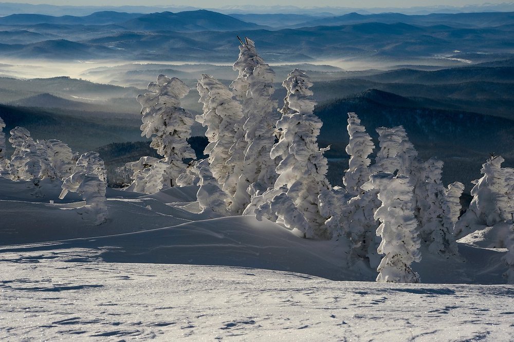 Pro Сибирские дали