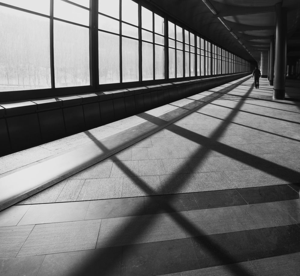 По тонким линиям