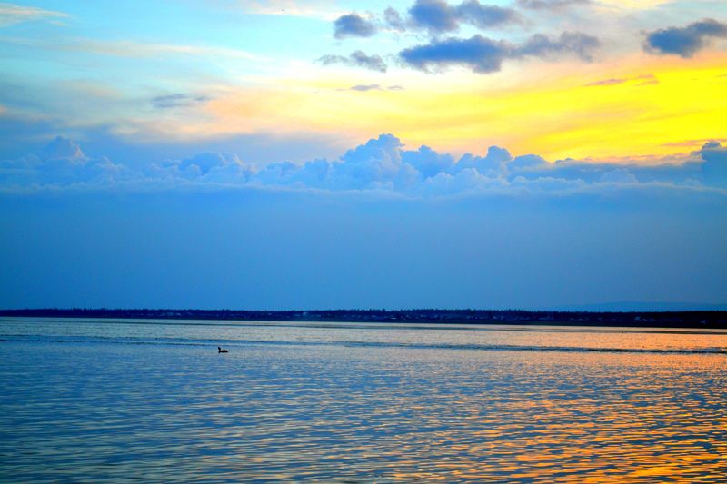 Настюша, Russia