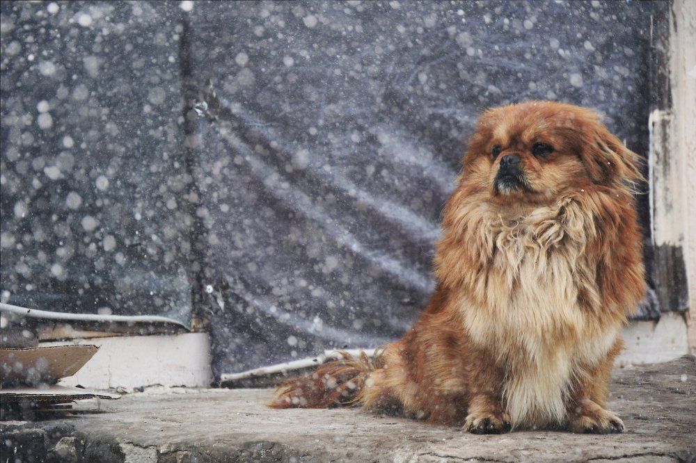 Photograph by Тома