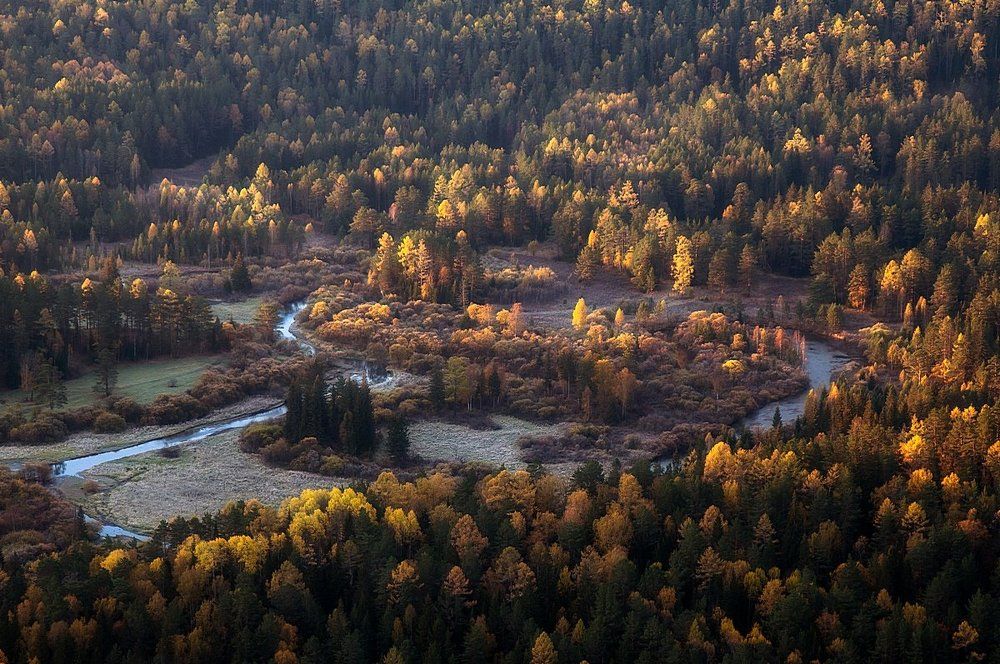 Базаиха в утреннем свете.