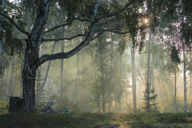 Надежда, Russia