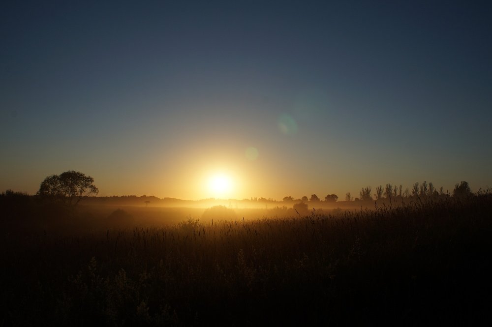 Беларуское сафари
