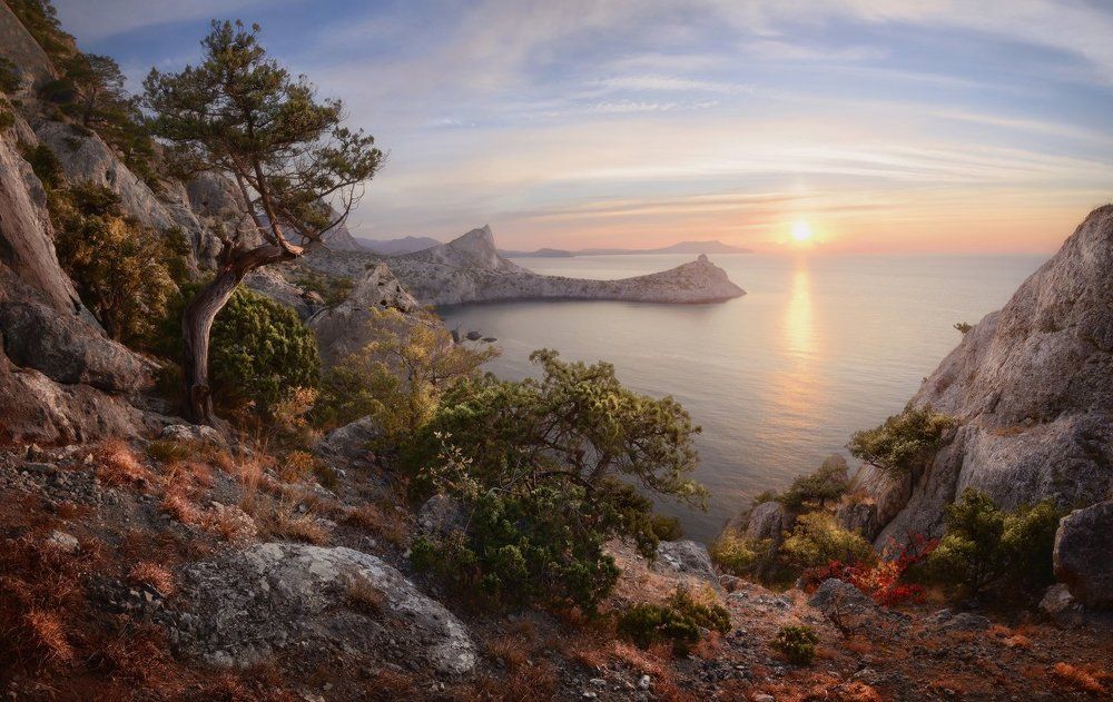 Новый Свет. Утро.