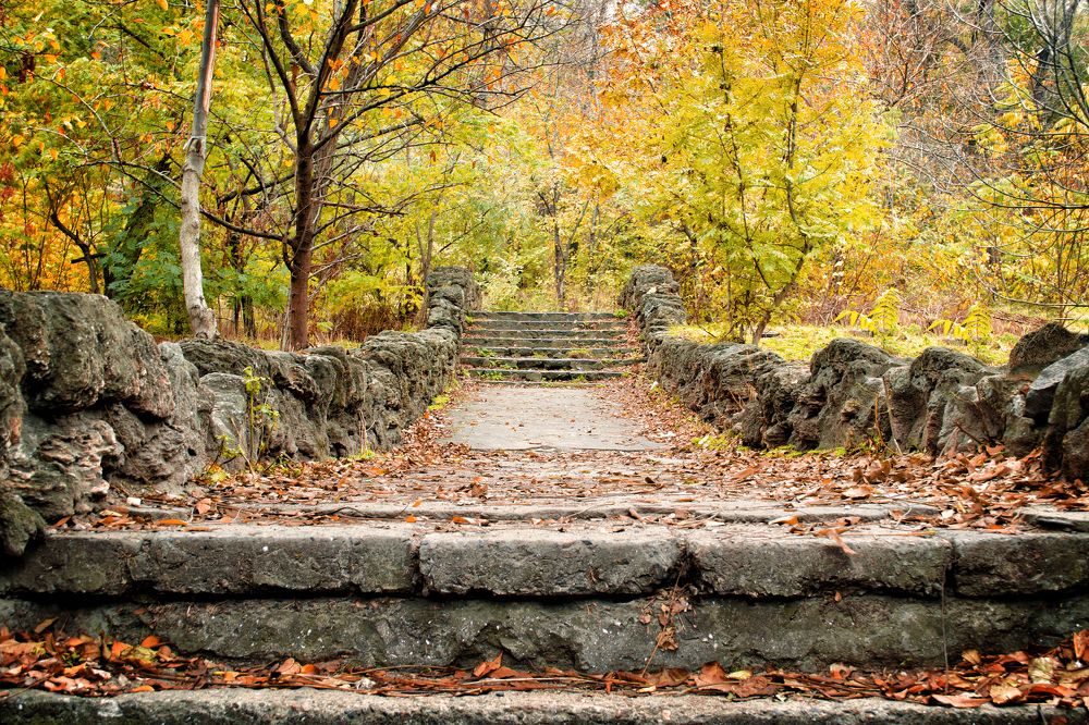 Photograph by Артур