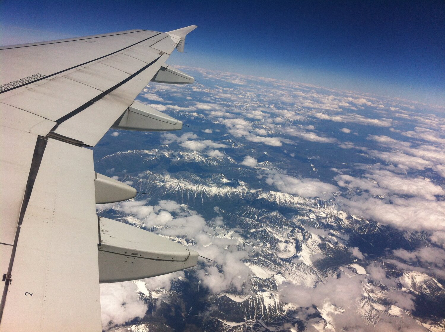 Photo #1184693
