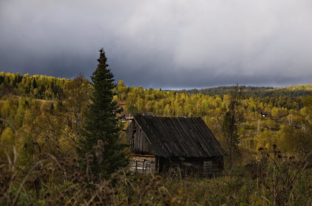 Затерянный в тайге домик