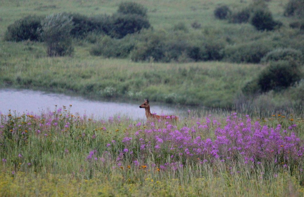 Photograph by Ната Харина