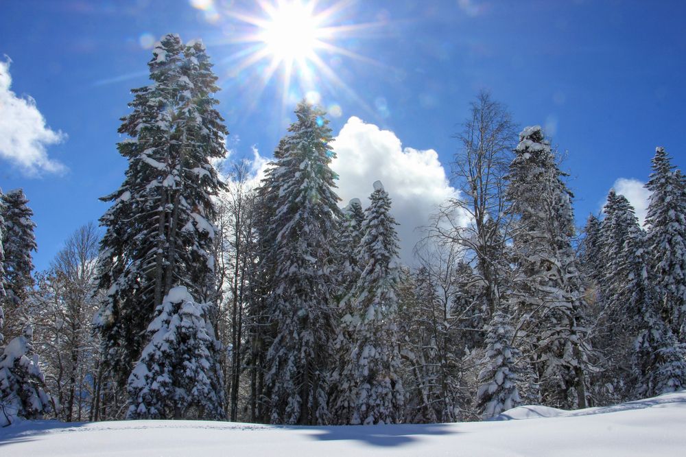 Фотография автора Татьяна Сергиенко