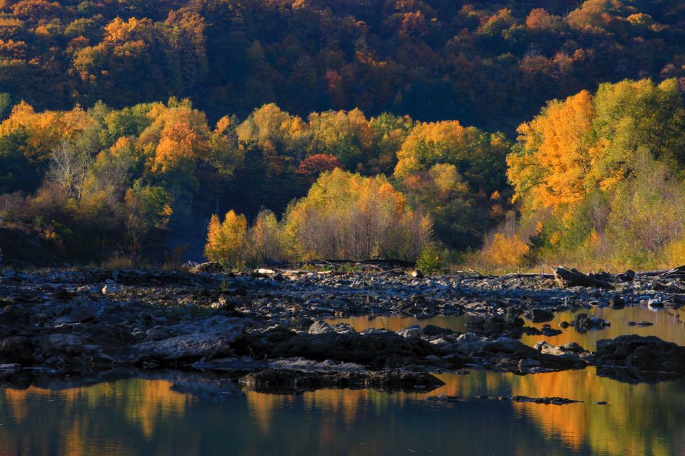 Фотография автора Татьяна Сергиенко