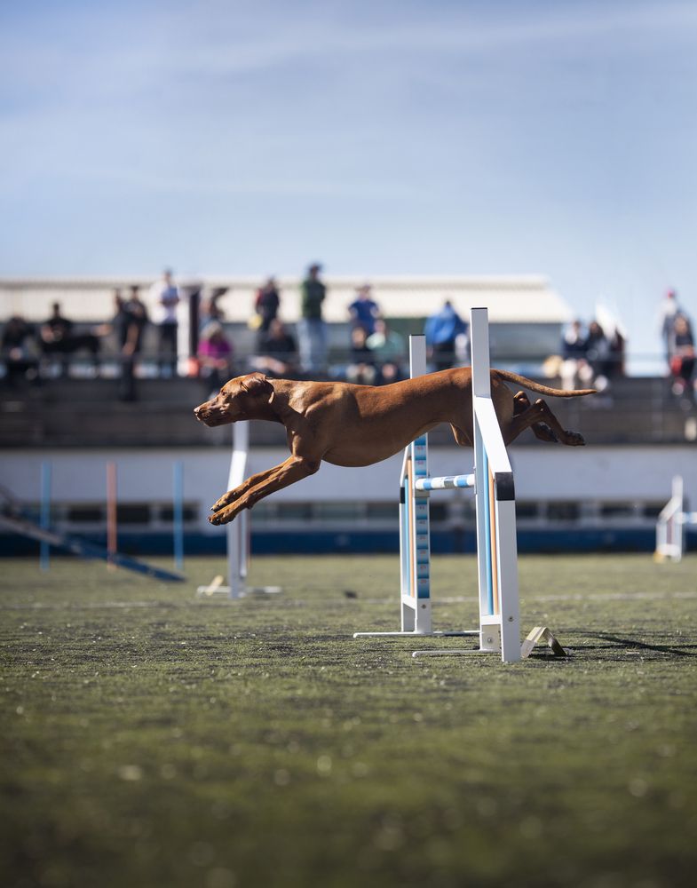 Photograph by Alexandre Marques