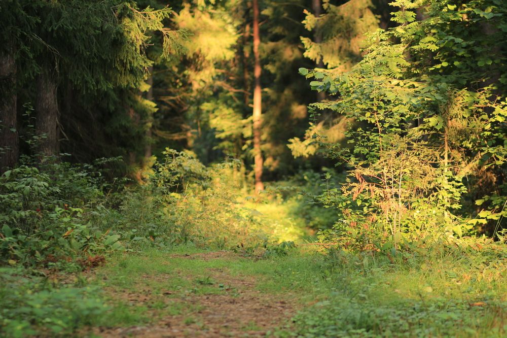 Фотография автора Мария Курицына