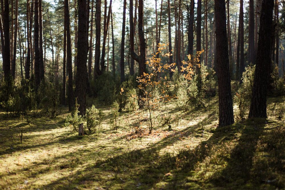 Photograph by Дарья Семёнова