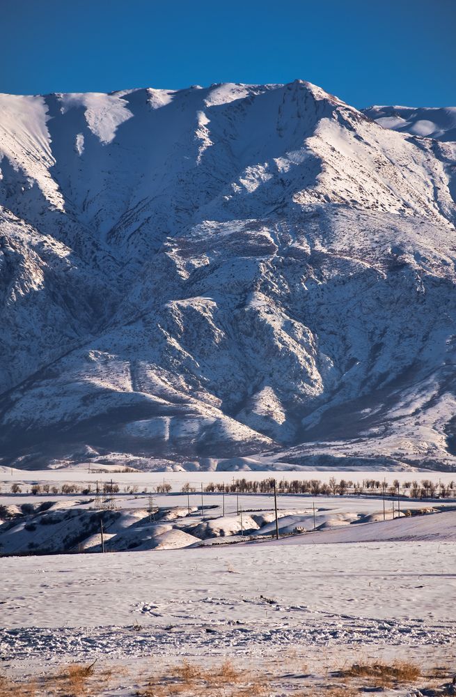 Photograph by Валентина