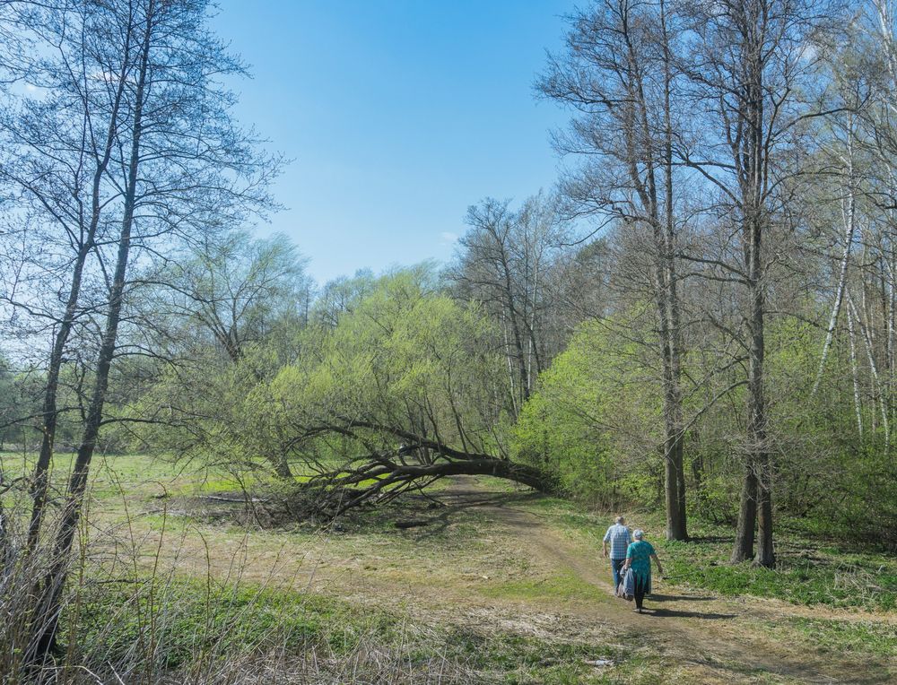 Фотография автора Николай Алмаев