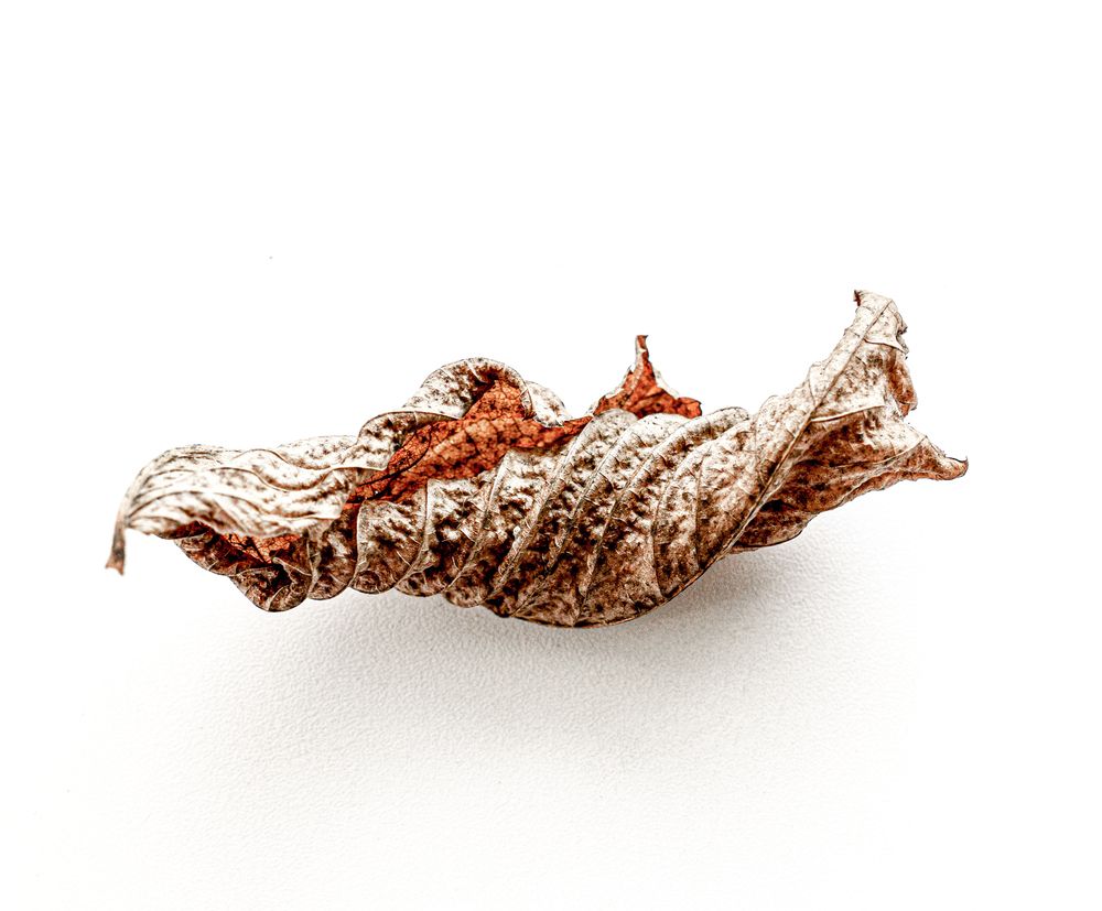 Photograph by Инесса Абрамова