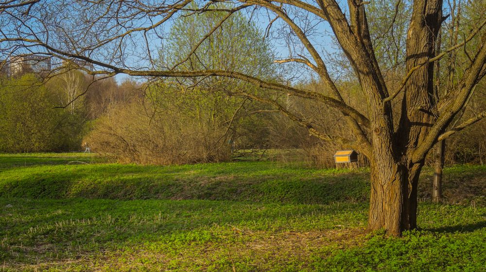 Фотография автора Николай Алмаев