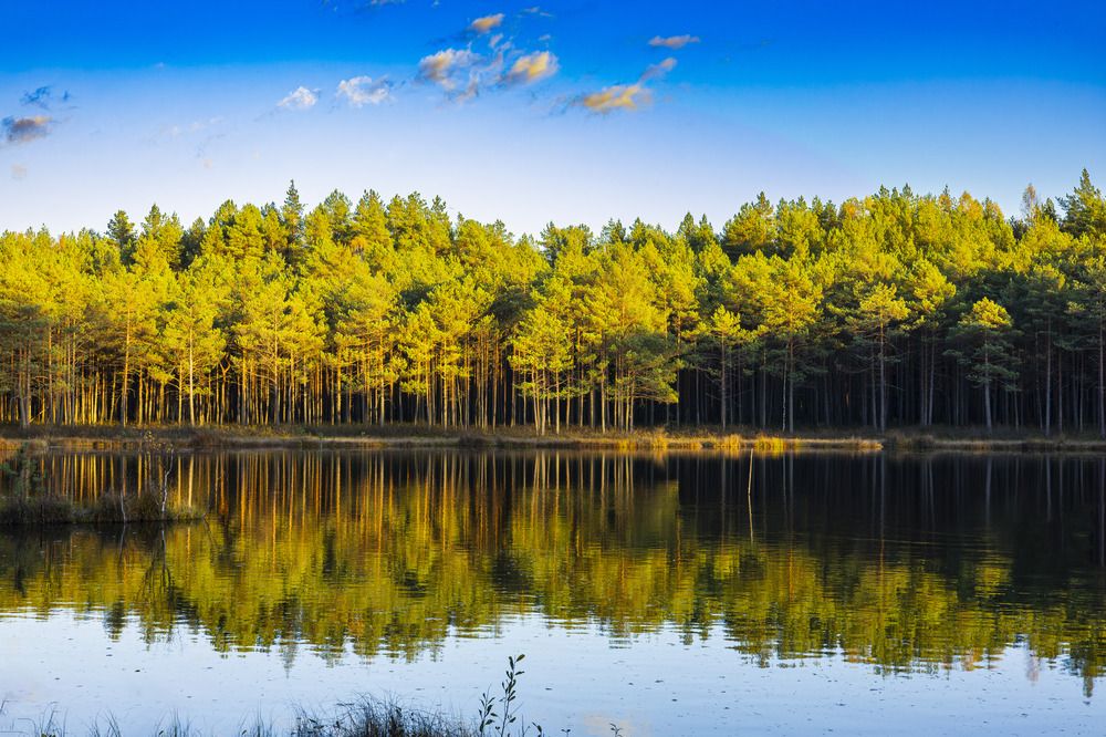 Фотография автора Вадим Копилец